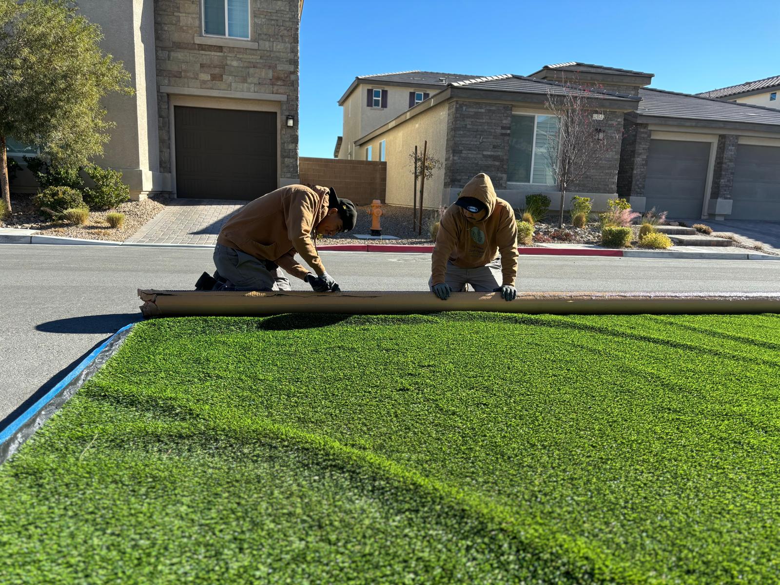 Backyard with artificial turf