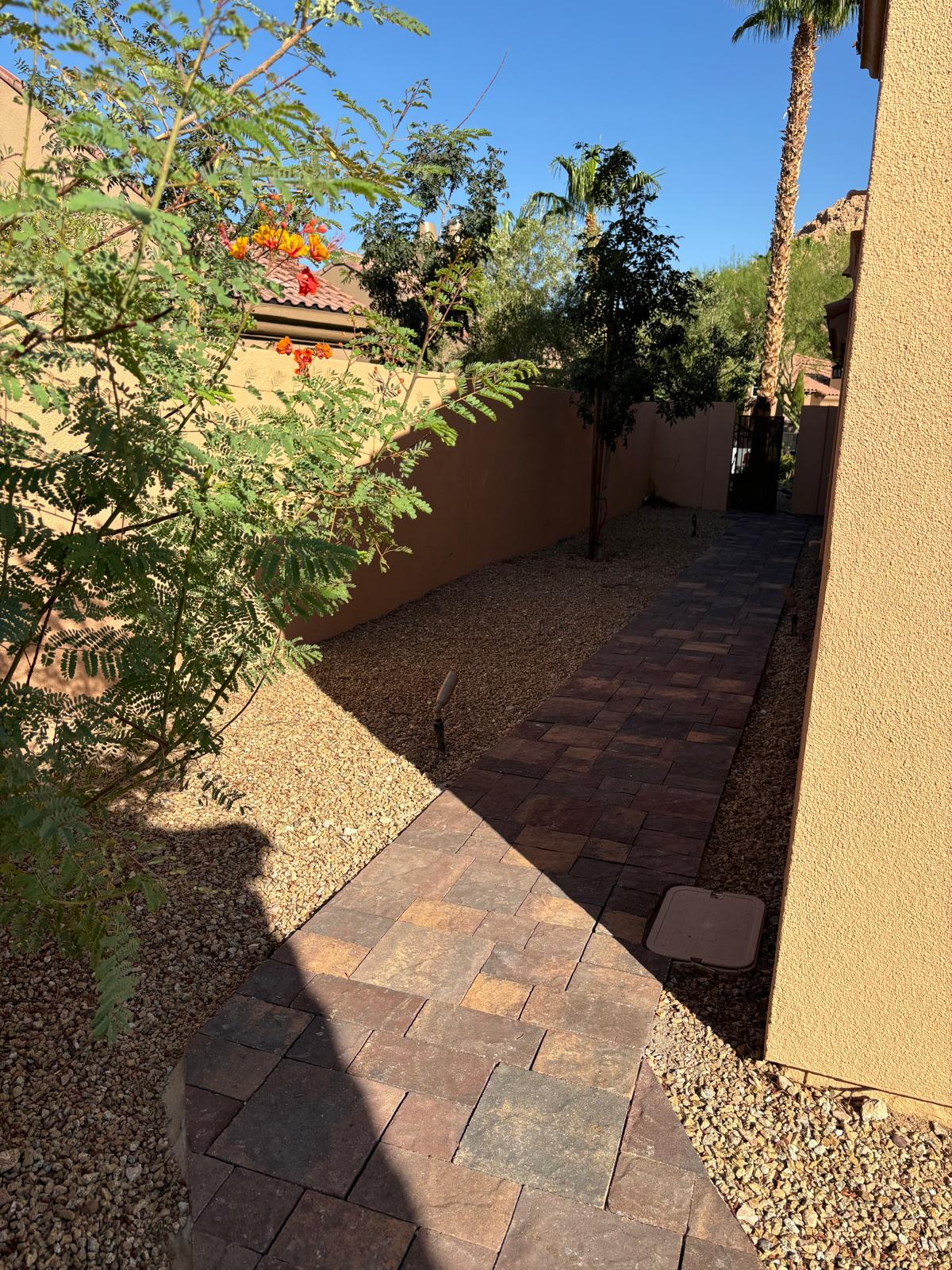 Backyard paver walkway