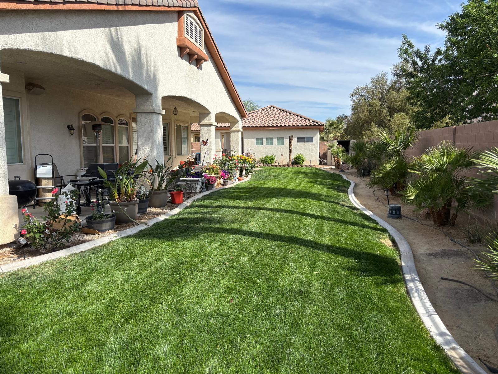 Lawn care and maintenance in Las Vegas