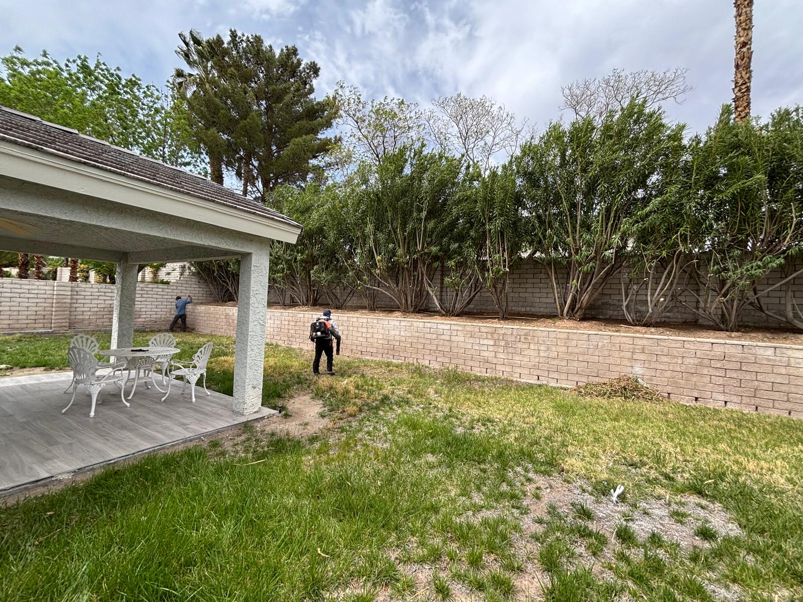 Seasonal yard cleanup in Las Vegas